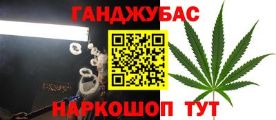 тгк Аргун