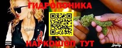 тгк Аргун